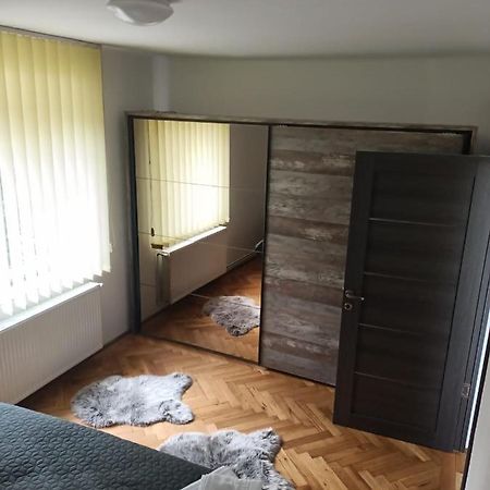 Vintage Gray Apartament Braşov Extérieur photo