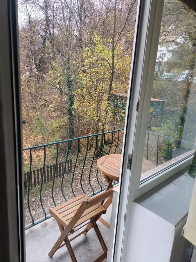 Vintage Gray Apartament Braşov Extérieur photo