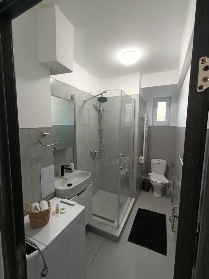 Vintage Gray Apartament Braşov Extérieur photo